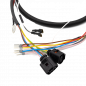 Preview: Control cable / Relais SiNUS iON